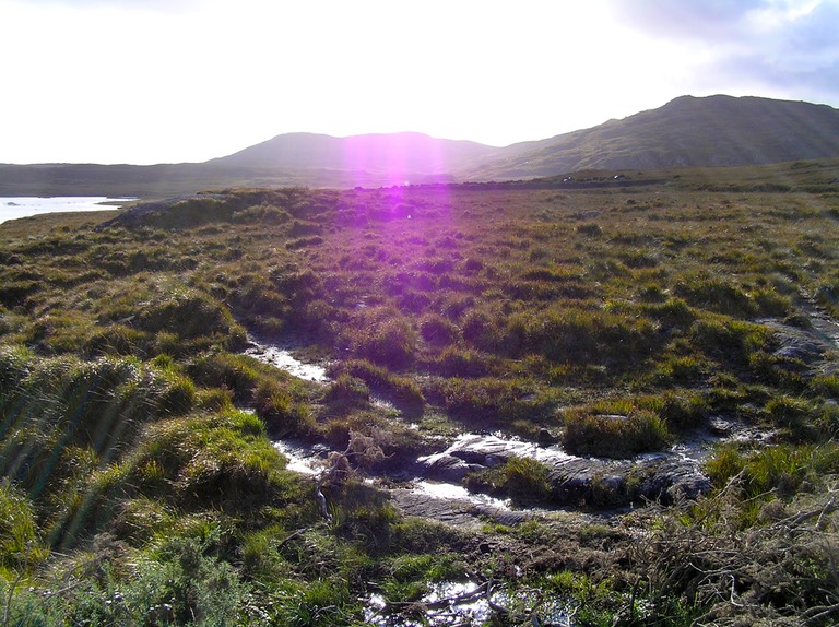 Irland 2011 – 2555
