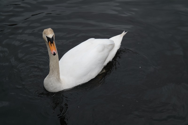 SAM_0065